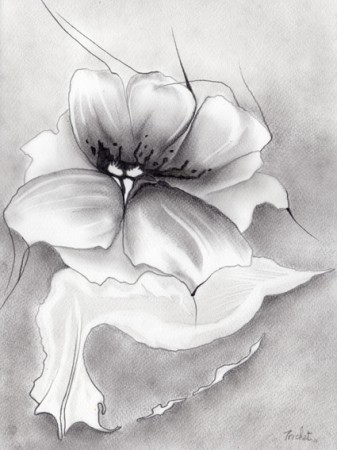 Fleur (dessin 32x24cm)